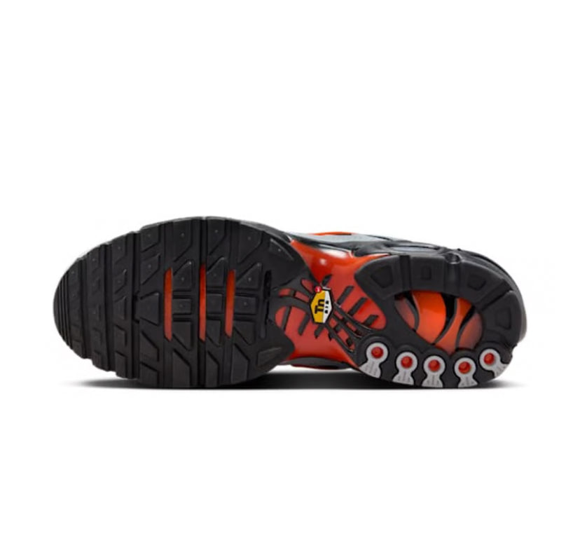 Nike Air Max Plus TN – Wolf Grey/Picante Red